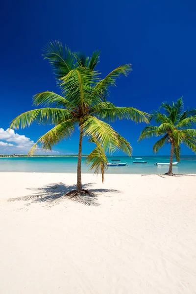 Playa Tropical Con Mar Limpio Cielo Azul Maldivas — Foto de Stock