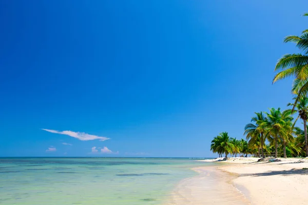 Playa Tropical Con Mar Limpio Cielo Azul Maldivas — Foto de Stock