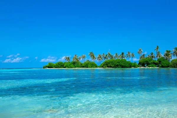 Tropical Beach Clean Sea Blue Sky Maldives — Stock Photo, Image