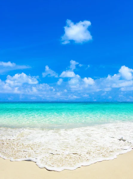 Tropical Beach Clean Sea Blue Sky Maldives — Stock Photo, Image