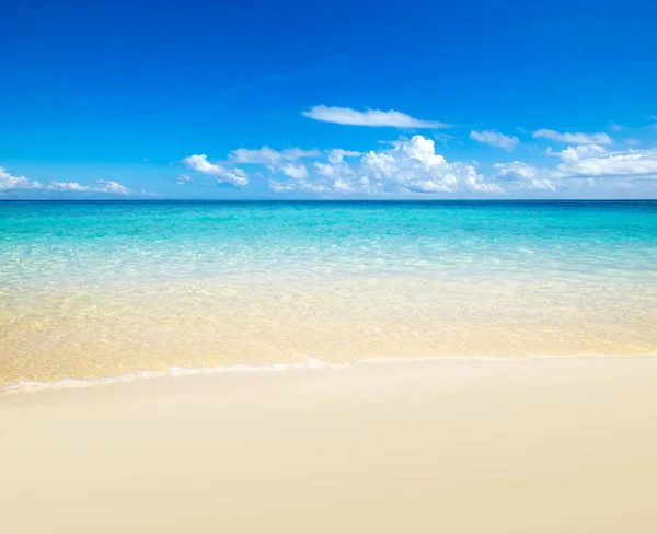 モルディブの青い空 きれいな海と 熱帯のビーチ — ストック写真