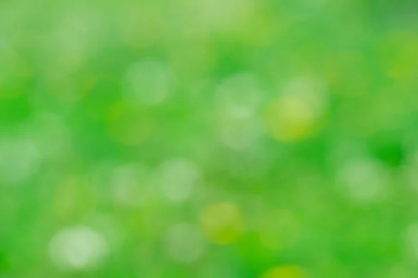 Grünes Bokeh Vom Baum Verschwommener Hintergrund — Stockfoto