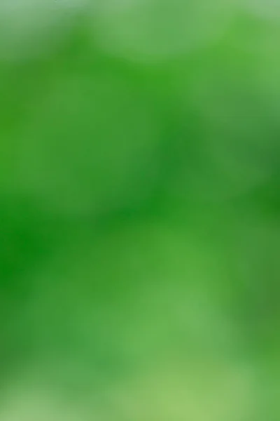 Grünes Bokeh Vom Baum Verschwommener Hintergrund — Stockfoto