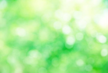 ağaç, arka plan bulanık yeşil bokeh