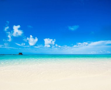 Temiz deniz ve mavi gökyüzü ile tropikal plaj 