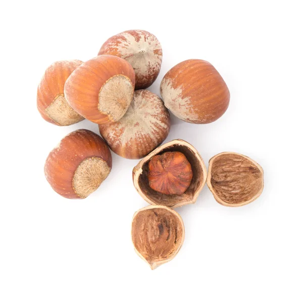 Hazelnuts Isolated White Background — Stock Photo, Image