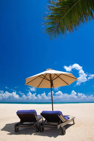 Tropisch Strand Met Ligstoelen Onder Paraplu Blauwe Hemel — Stockfoto