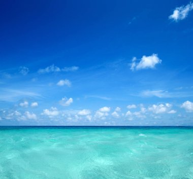 Temiz deniz ve mavi gökyüzü ile tropikal plaj 
