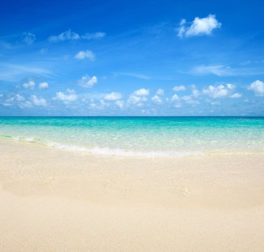 Temiz deniz ve mavi gökyüzü ile tropikal plaj 