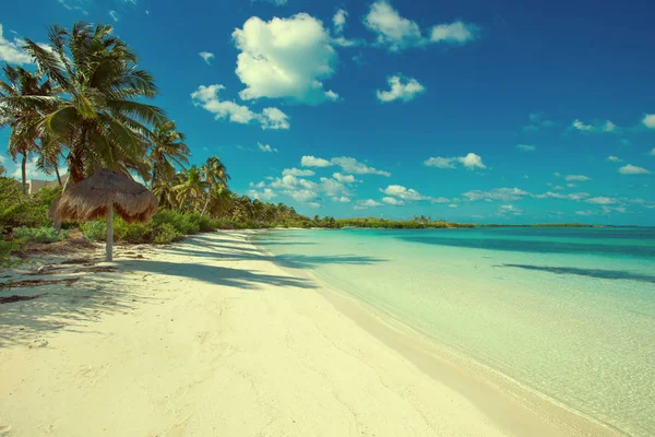 Praia Tropical Com Mar Limpo Céu Azul — Fotografia de Stock