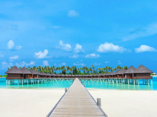 Beau Paysage Tropical Des Maldives — Photo