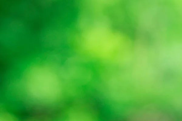 Grünes Bokeh Vom Baum Grüner Hintergrund — Stockfoto