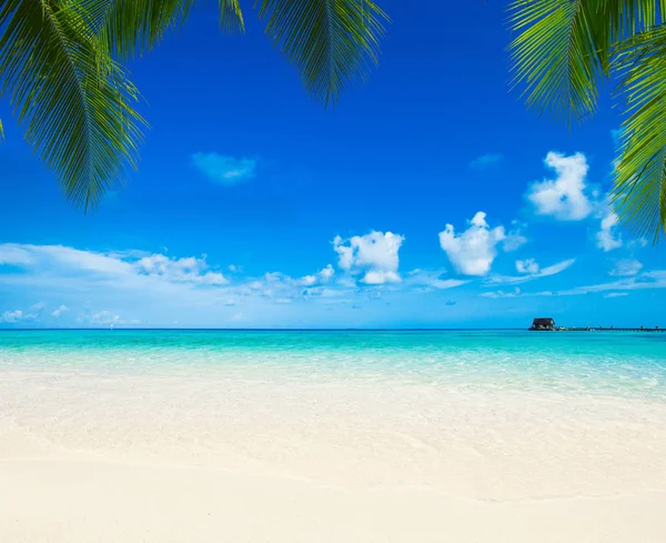 美丽的热带马尔代夫海岛风景 — 图库照片