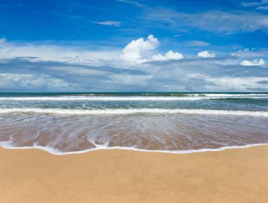 Kumsal Karayip Denizi Kumu