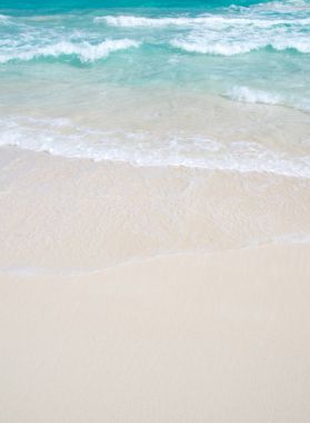 Kumsal Karayip Denizi Kumu