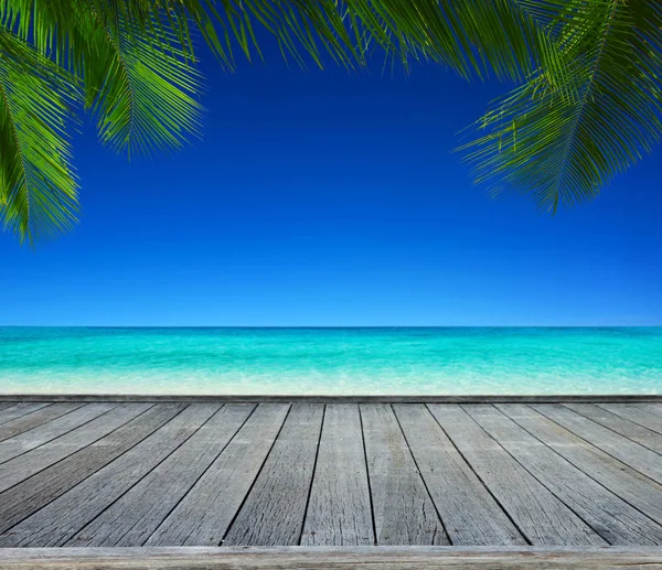 Vakker Strand Tropisk – stockfoto