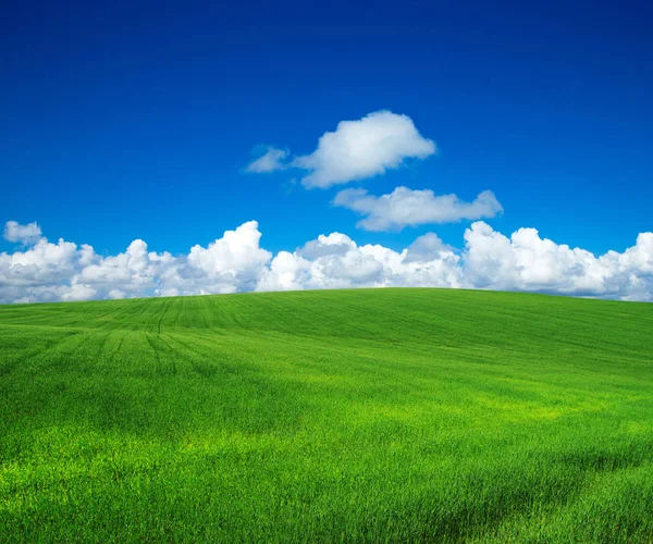 Mavi Cennet Ile Yeşil Alan — Stok fotoğraf