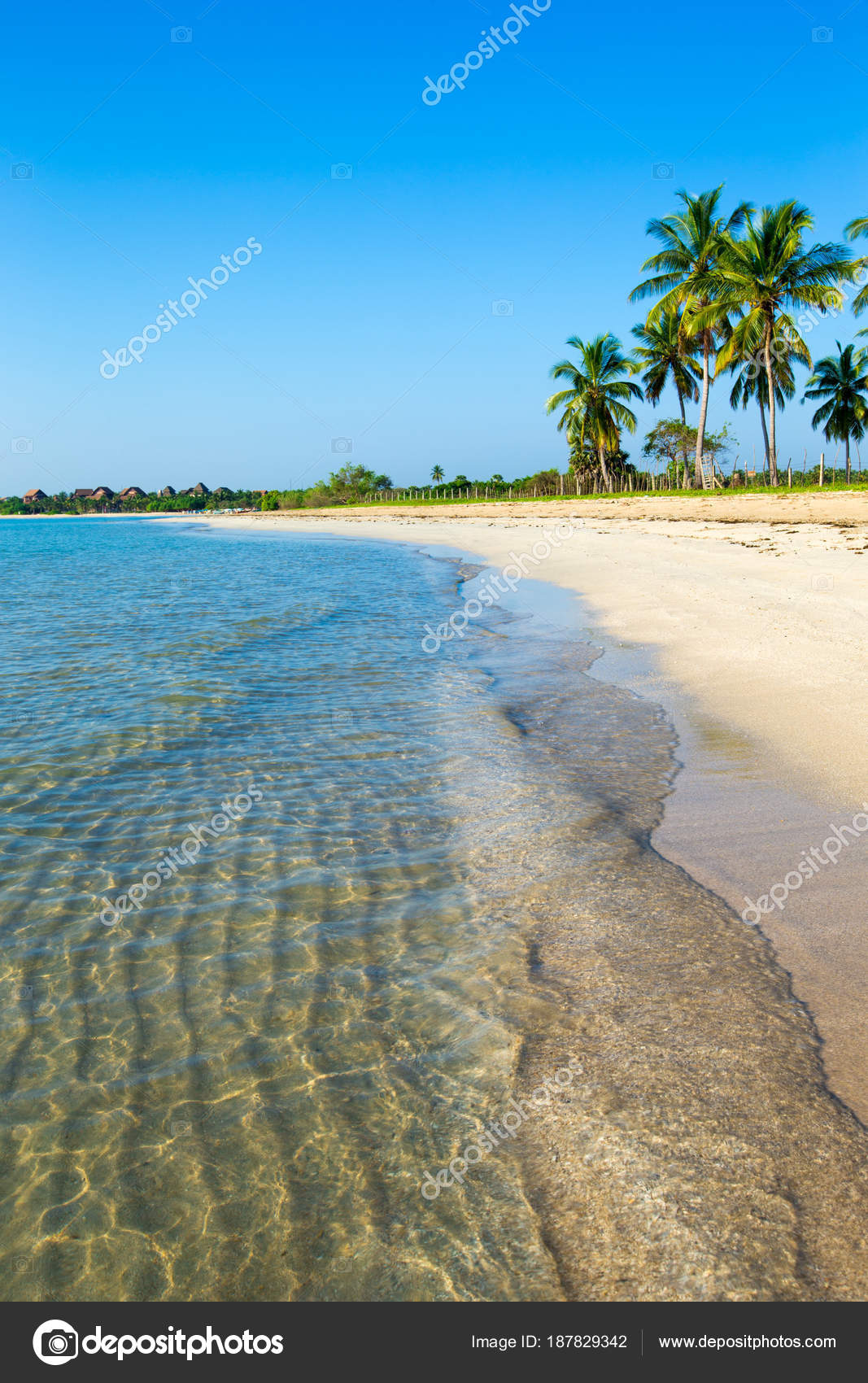 Plage Tropicale Sri Lanka Concept Vacances été Pour Tourisme