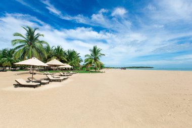 Güzel sahil ve tropikal deniz