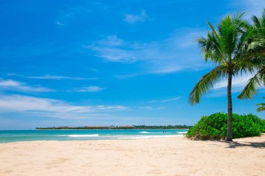 Güzel sahil ve tropikal deniz