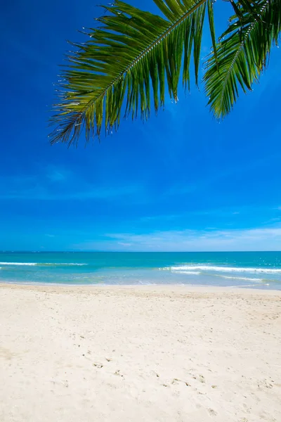 Spiaggia Tropicale Nello Sri Lanka Vacanza Estiva Concetto Vacanza Turismo — Foto Stock