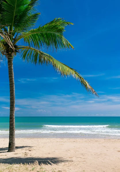 Tropischer Strand Sri Lanka Sommerurlaub Und Urlaubskonzept Für Den Tourismus — Stockfoto