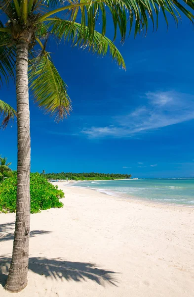Piękna Plaża Tropikalne Morze — Zdjęcie stockowe
