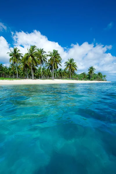 Praia Tropical Sri Lanka Férias Verão Conceito Férias Para Turismo — Fotografia de Stock