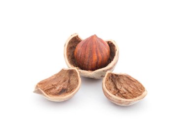 Fındıklar beyaz arkaplanda izole