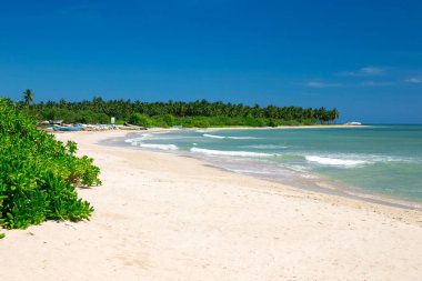 Beyaz kumlu plaj Karayip Denizi