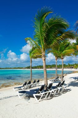 Tropikal plaj Sri Lanka. Yaz tatil ve tatil kavramı turizm.