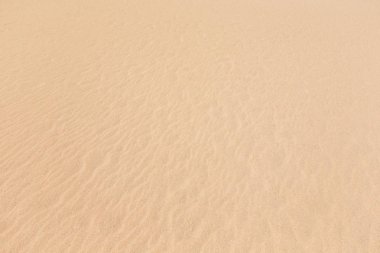 Tropikal Beach açık kum üzerinde desenler