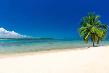 Beyaz kumlu plaj Karayip Denizi