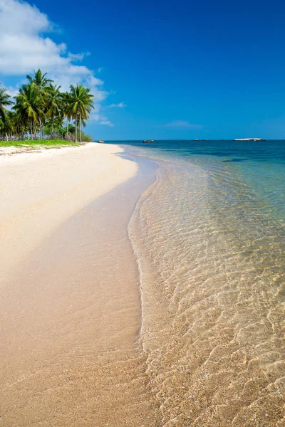 Praia Tropical Sri Lanka Férias Verão Conceito Férias Para Turismo — Fotografia de Stock