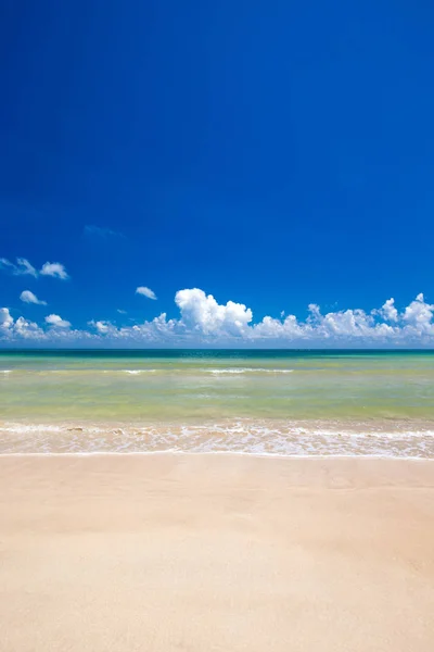 Beyaz Kumlu Plaj Karayip Denizi — Stok fotoğraf