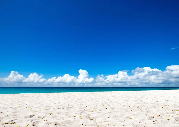 White Sandy Beach Caribbean Sea Stock Photo