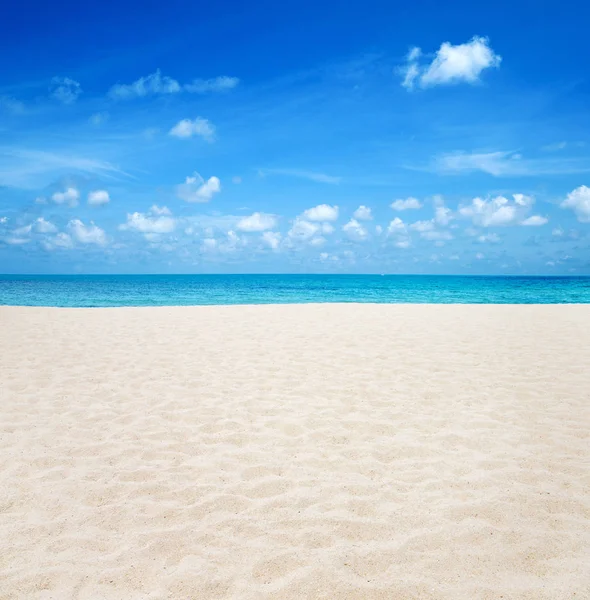 White Sandy Beach Caribbean Sea — Stock Photo, Image