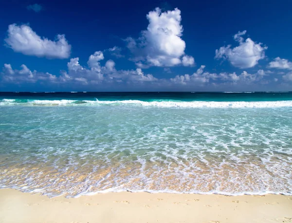 Vit Sandstrand Stranden Karibiska Havet — Stockfoto