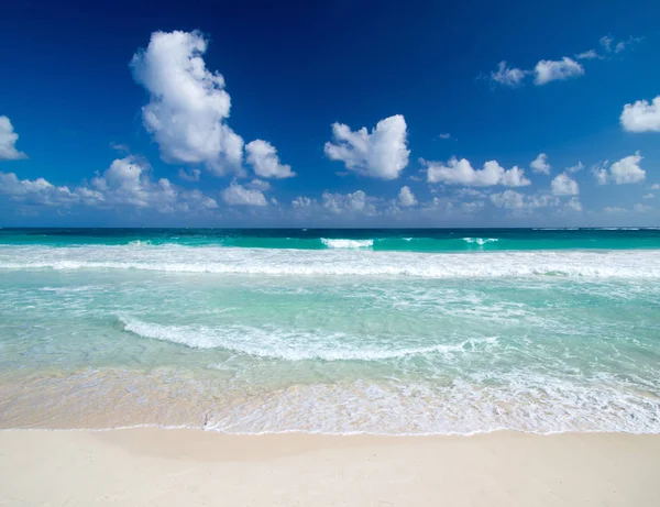 Vit Sandstrand Stranden Karibiska Havet — Stockfoto