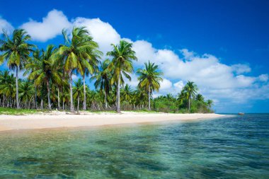 Sri Lanka görkemli tropikal plaj.
