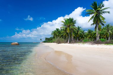 Sri Lanka görkemli tropikal plaj.