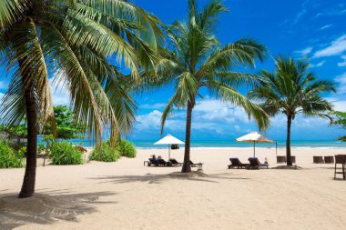 Açık kum, zengin flora ve şezlong şemsiye Sri Lanka ile ile tropikal plaj.