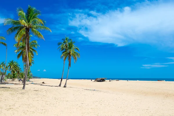 Strand Mit Kokospalmen Und Tropischem Meer — Stockfoto