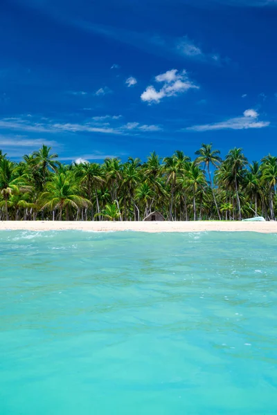 Heldere Tropisch Strand Sri Lanka — Stockfoto