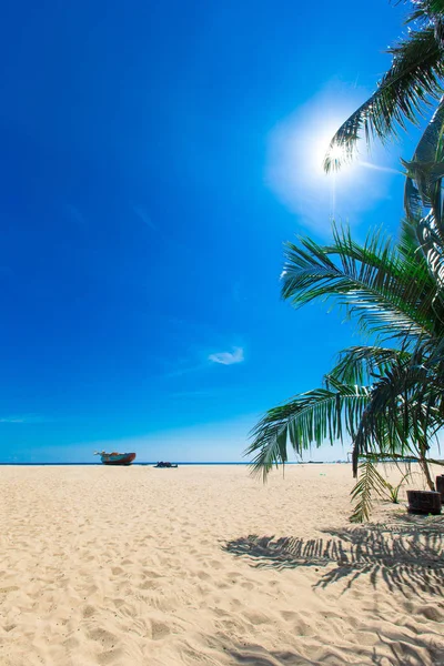 Utsikt Över Tropisk Strand Sri Lanka — Stockfoto