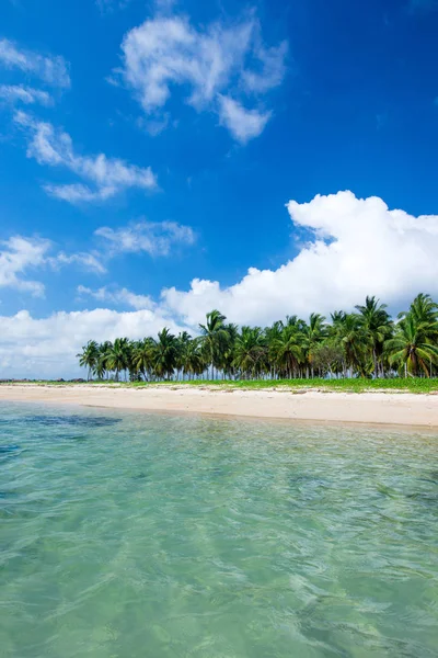 Tropikalna plaża z palmami — Zdjęcie stockowe