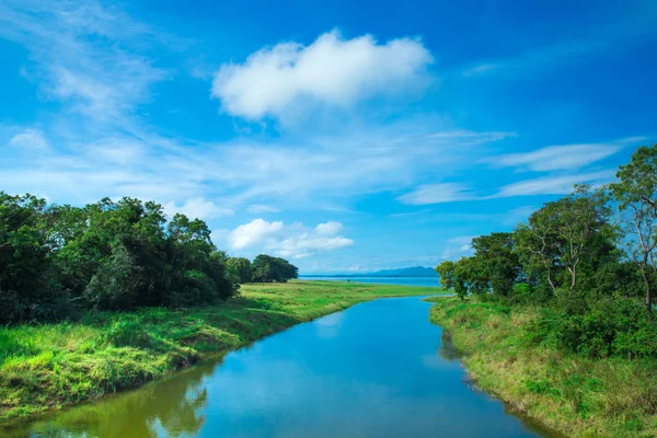 Krajobraz Sri Lanka jezioro, Sri lanka, — Zdjęcie stockowe