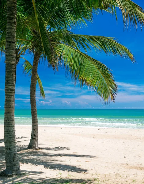 Tropisk strand på Sri Lanka – stockfoto