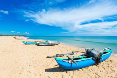  sri Lanka tropikal plaj