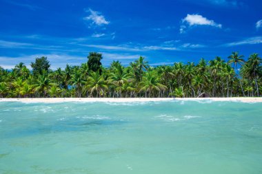  sri Lanka tropikal plaj